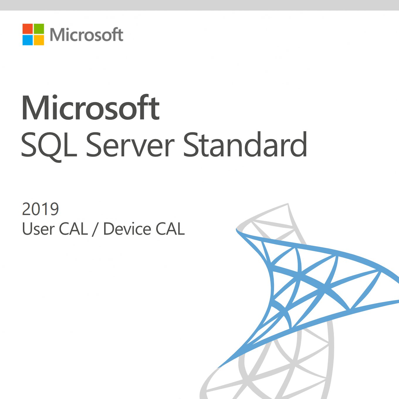 Microsoft SQL Server 2019 Standard - User / Device CALs