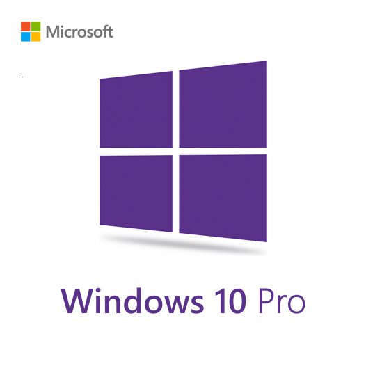 Windows 10 Pro OEM