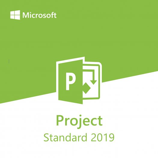 Project Standard 2019