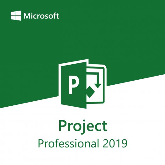 Microsoft Project Professional 2019